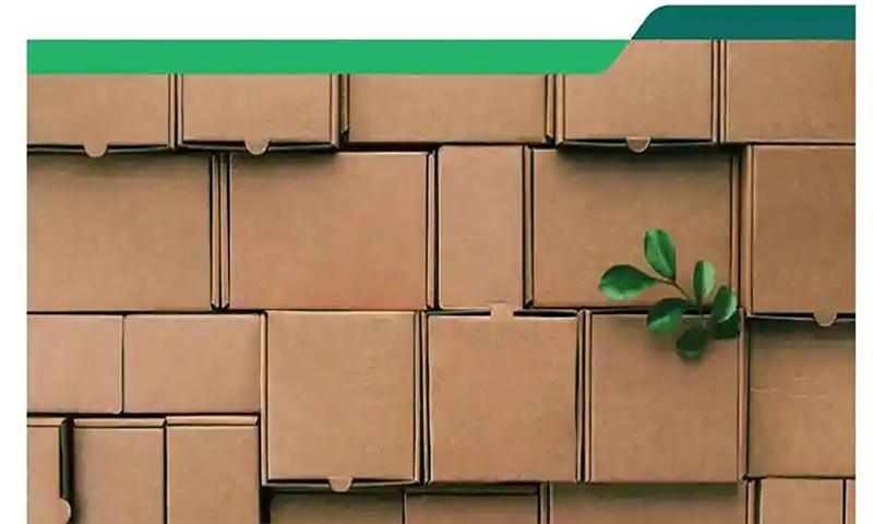 International Paper Unveils Circular Lifecycle of Containerboard Boxes