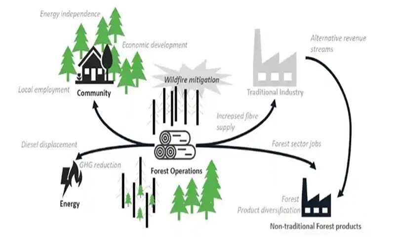 UBC and FPInnovations Introduce Bioenergy Training for Remote Areas