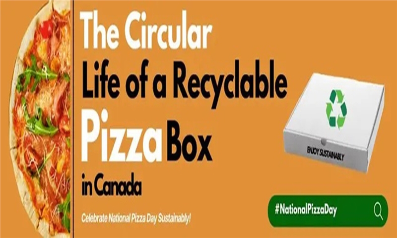 The Circular Life of a Recyclable Pizza Box in Canada