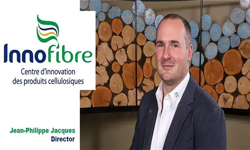 Innofibre: A Key Player in Innovation and Transition in the Forestry Sector