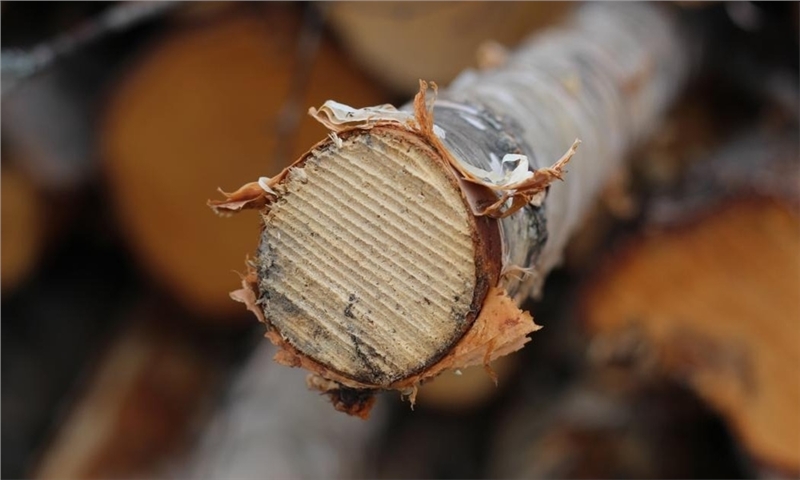 US Lumber Coalition: "Canada employs unfounded scare tactics"
