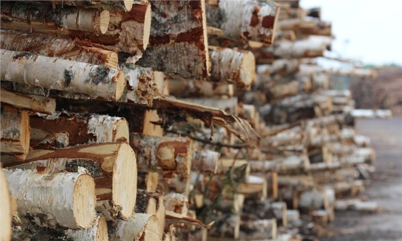 Weyerhaeuser completes acquisitions totaling $459 million