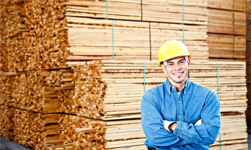 Lumber Outlook: Imports Still Key to U.S. Supply Chain