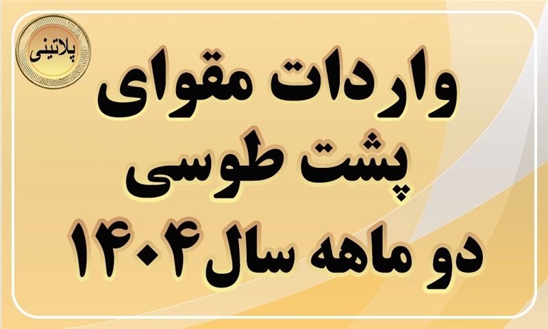 گزارش واردات مقوای پشت طوسی در دو ماه سال 1404