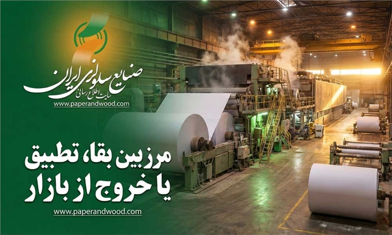 مرز بین بقا، تطبیق یا خروج از بازار