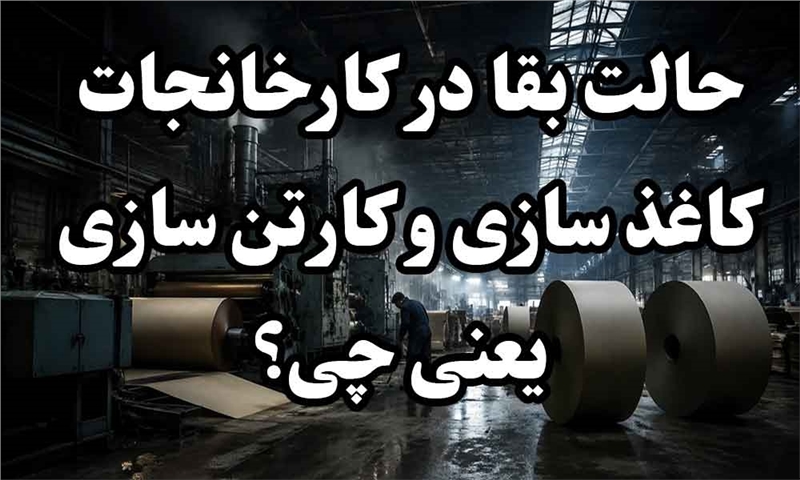 حالت بقا در کارخانجات کاغذ سازی و کارتن سازی یعنی چی