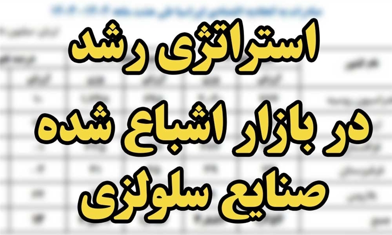 استراتژی رشد در بازار اشباع شده صنایع سلولزی