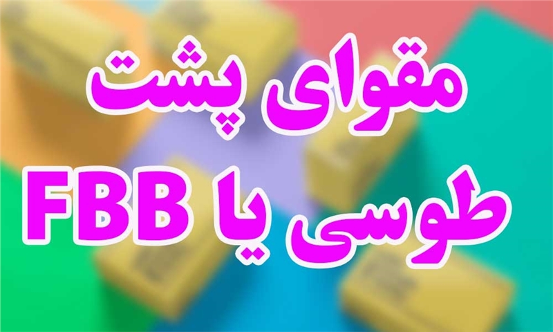 مقوای پشت طوسی یا FBB