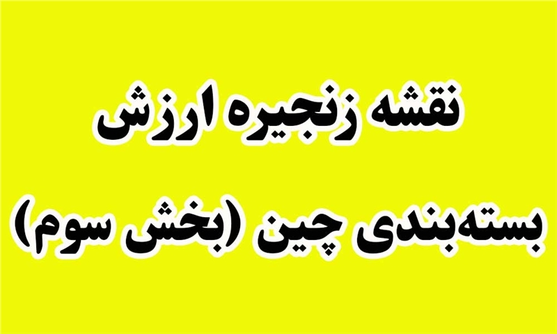 نقشه زنجیره ارزش بسته‌بندی چین (بخش سوم)