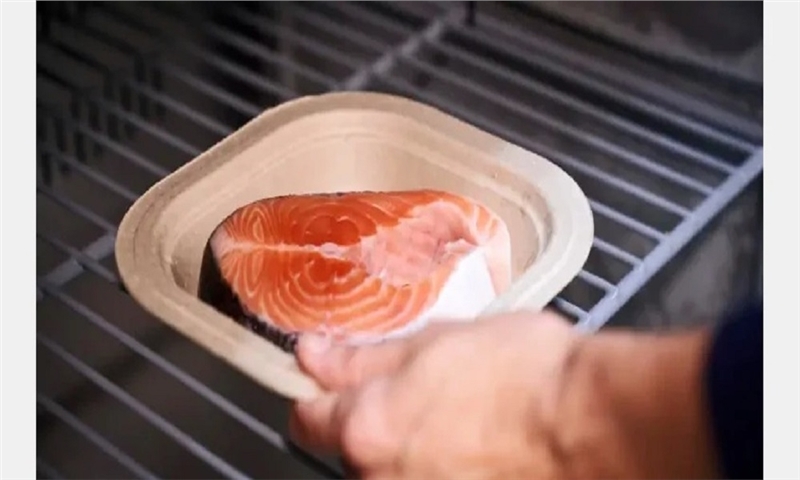 Ence Invests €12M in Cellulose Packaging Production