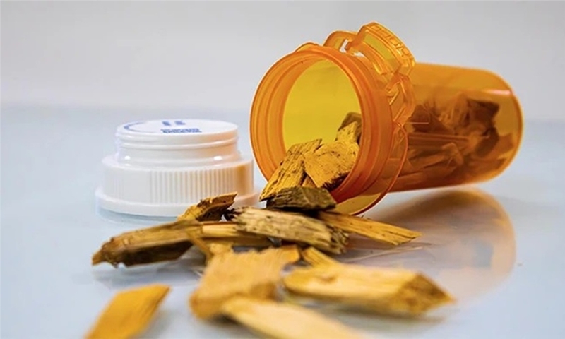 UMaine research could ease drug costs with biomass process