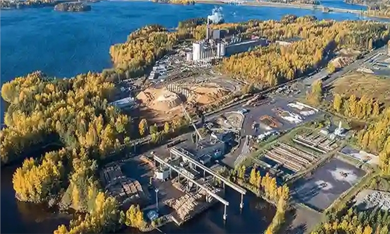 Mondi Reaffirms Net Zero Goals with Updated SBTi Baseline