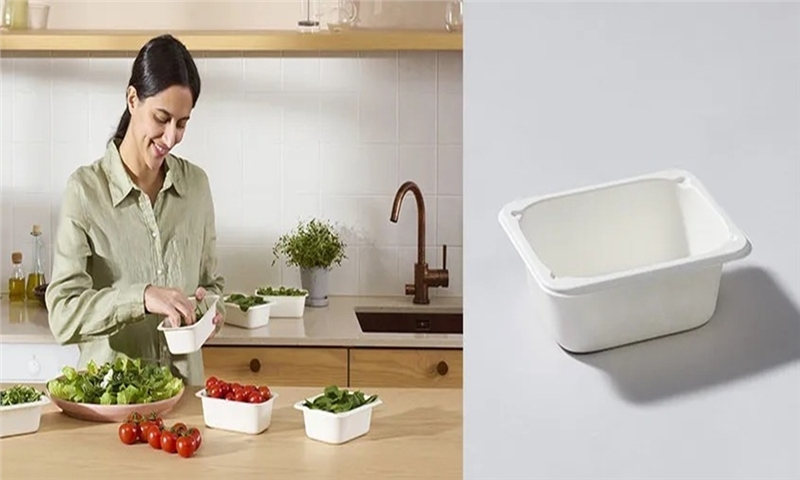 Metsä Spring Expands Muoto Fibre Punnets for Fresh Produce