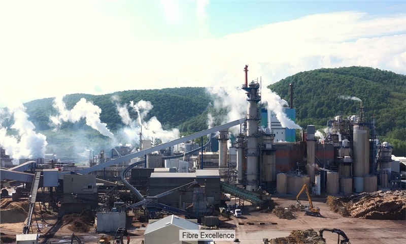 Management submits takeover offer for pulp producer Fibre Excellence