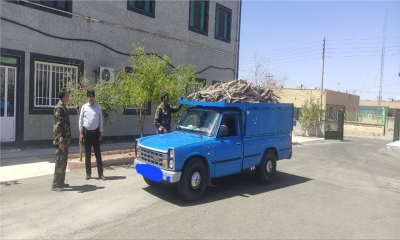 کشف حدود یک تُن چوب قاچاق در شهرستان سرایان