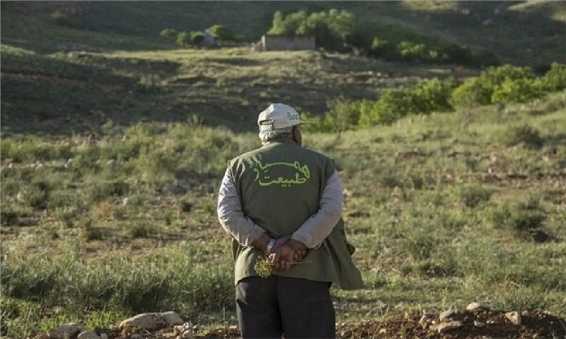 گیلان بالغ بر ۱۵ هزار «همیار طبیعت» دارد