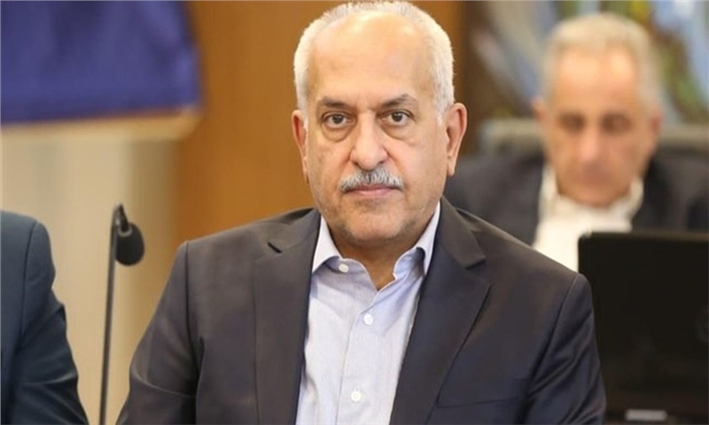 دولت برای تحقق اهداف برنامه در زمینه کوچک‌سازی ۲۵ درصدی باید دست فرمان خود را تغییر دهد