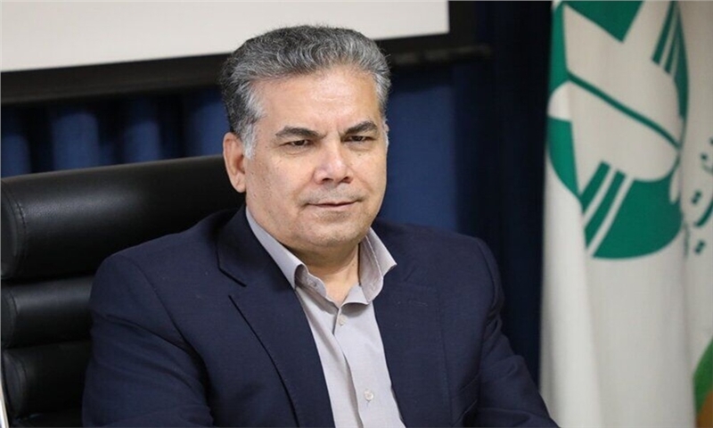 پایان چوب درخت برای کاغذسازی/بهره‌برداری از جنگل‌ها در برنامه هفتم توسعه ممنوع است