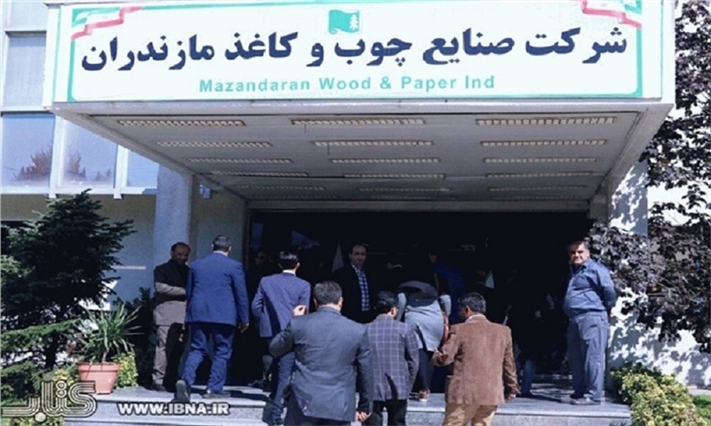 The hope to double paper production in Mazandaran
