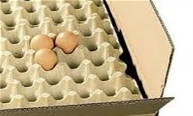 Saving 688 million Tomans a day by removing egg cartons in the country