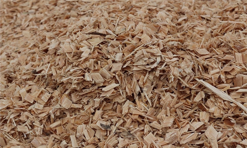 West Fraser announces indefinite curtailment of Lake Butler sawmill