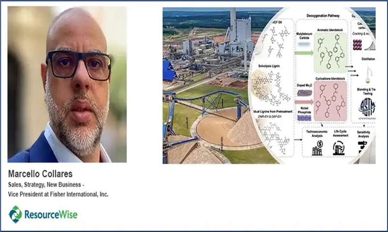 Pulp Mills as Biorefineries: Lignin’s Role in Sustainable Fuel