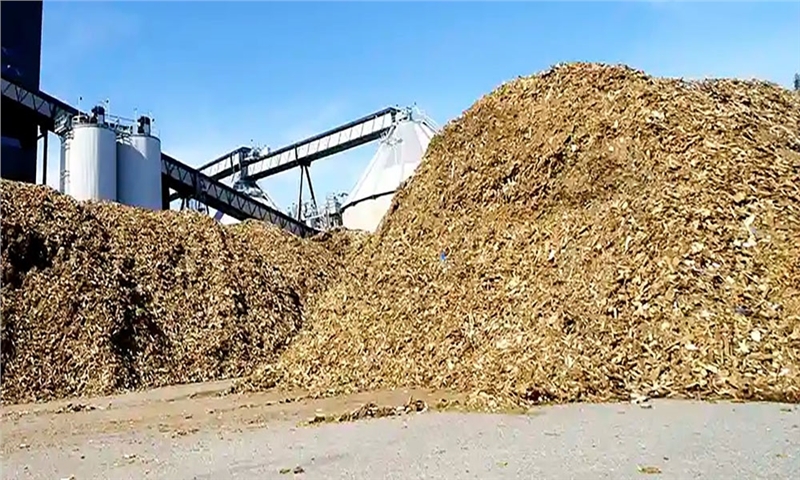 Alberta Invests $3 Million in Hydrogen Project Using Forestry Waste