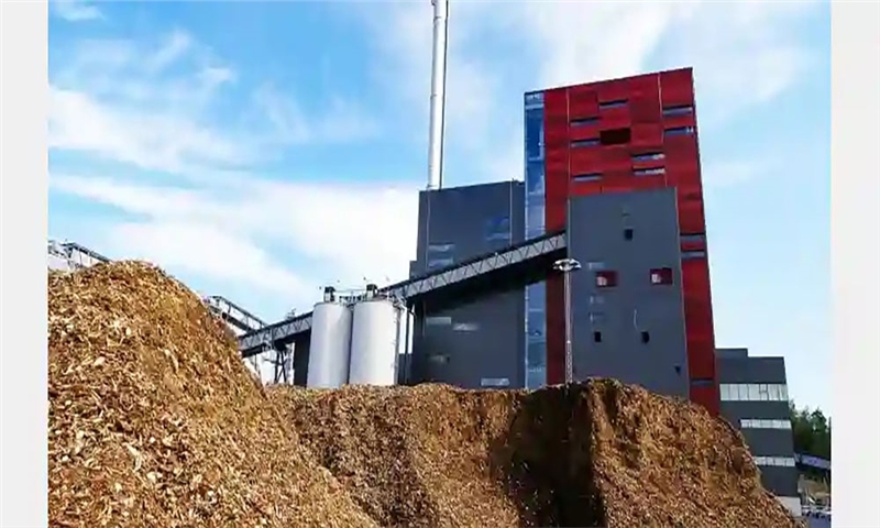 Researchers Highlight Biomass’s Critical Role in Future Energy Systems
