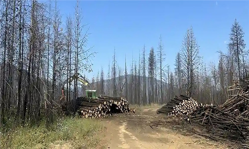 Fort Nelson Fire Recovery Project to Support Fibre Supply Chain