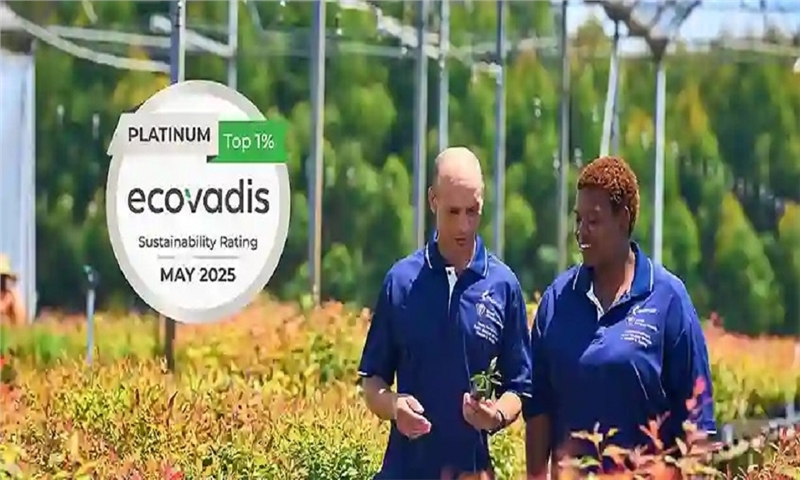 Mondi Maintains Top 1% Ranking in EcoVadis Sustainability Ratings