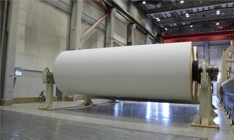 Klabin is elected the best company in the pulp and paper sector