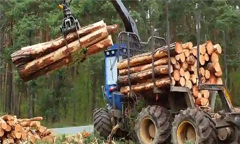 New U.S. Duties Threaten New Brunswick Forestry Sector