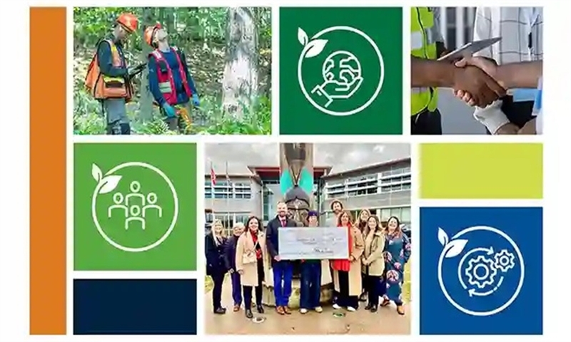 Domtar Outlines 2030 Sustainability Strategy
