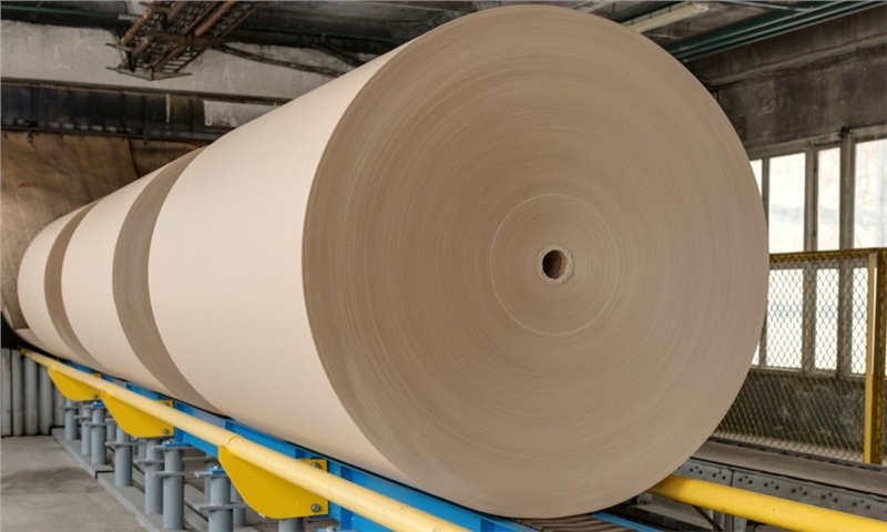 Recycled board producer FM Cartiere in crisis mode