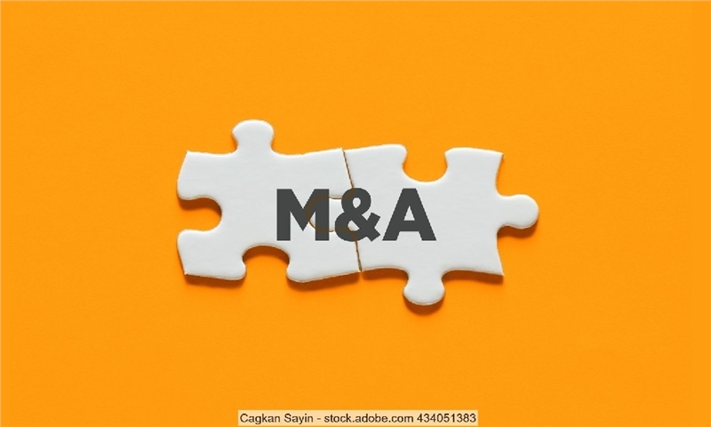 Taiga Group acquires Kondopoga in Russia