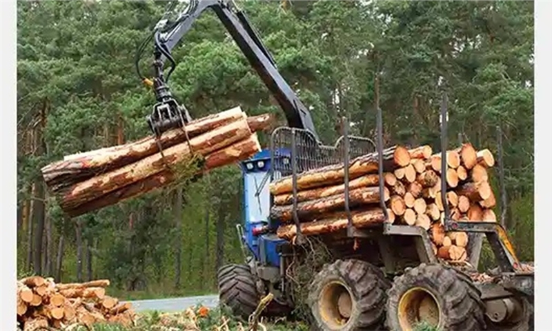 N.B. Fiber Loses a Key Buyer as Woodland Pulp Pauses Imports