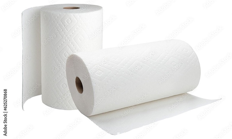 Fapajal Papermaking orders new tissue line