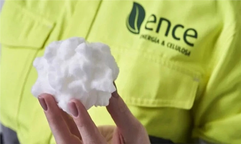 Ence Moves Forward with First Fluff Pulp Line in Navia