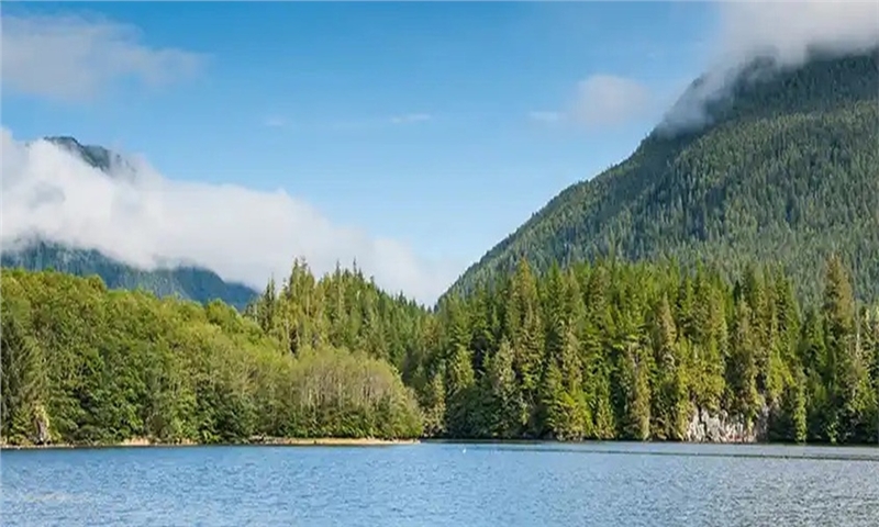 FPAC reacts to Ottawa’s plan to support the forest sector