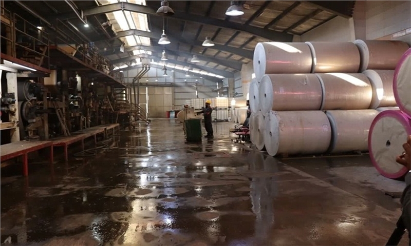 Daily Production of 40 Tons of Recycled Paper in Mashhad: A Step Toward Protecting Forests