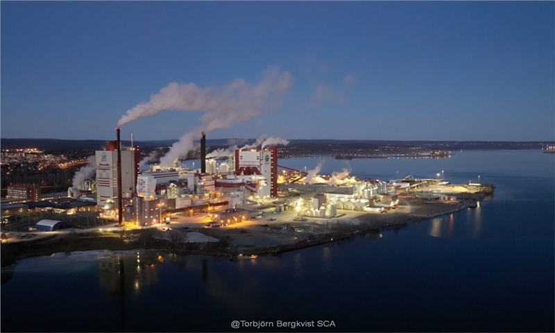 SCA sees signs of improving balance in NBSK pulp market