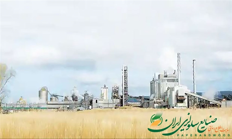 اوجی فایبر سولوشنز( Oji Fibre Solutions ) تولید کاغذ را در کارخانه کینلیث( Kinleith ) متوقف می‌کند