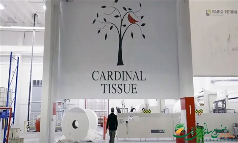 شرکتCardinal Tissue با خرید Softex گسترش می‌یابد