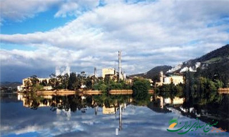 نورسک اسکوگ Norske Skog فروش کارخانه تولید کاغذ نشریاتی بویِر را تکمیل کرد