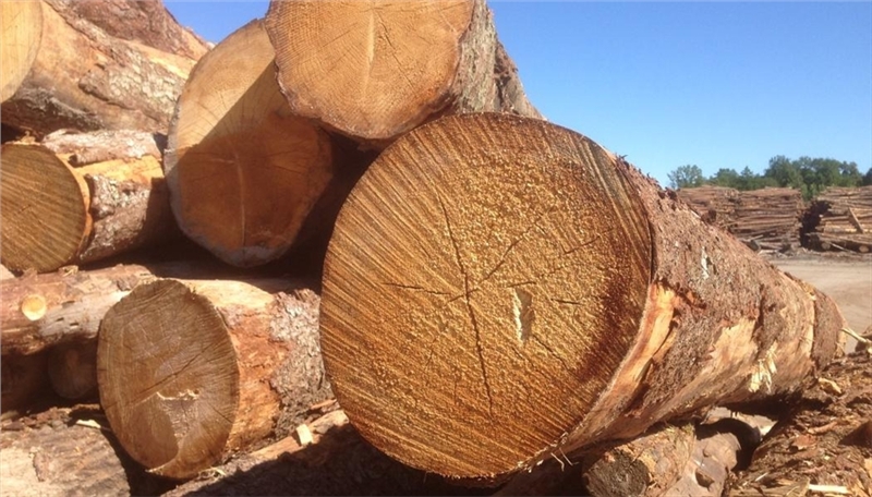 ویِرهاوزر(Weyerhaeuser) کارخانه چوب‌بری پرینستون خود را واگذار کرد.