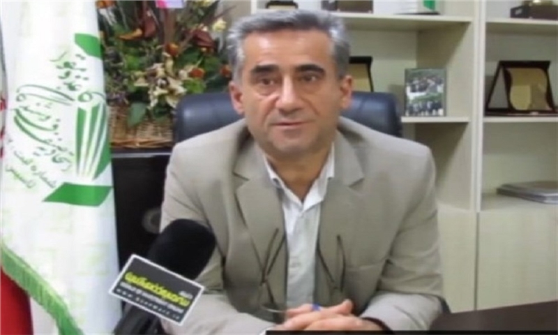 رکود نفس‌‌گیر در بازار کاغذ