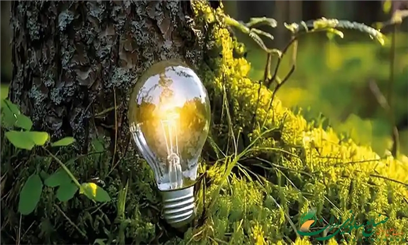 مازاد انرژی زیست‌توده شرکت Södra برق مورد نیاز ۵۰٬۰۰۰ خانه را تأمین می‌کند.