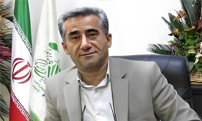 بار جدید رسید، قیمت کاغذ کاهش یافت