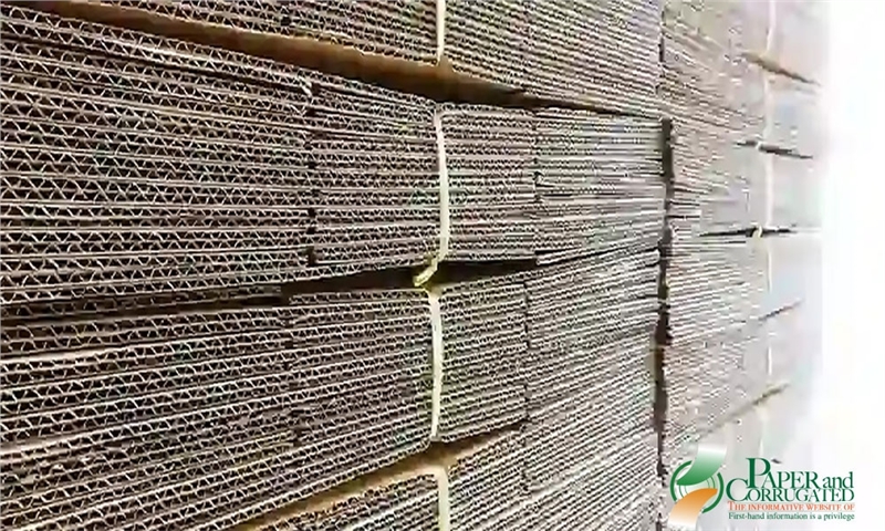 دادخواست ایالات متحده ادعای تثبیت قیمت توسط تولیدکنندگان بزرگ مقوا را مطرح می‌کند.