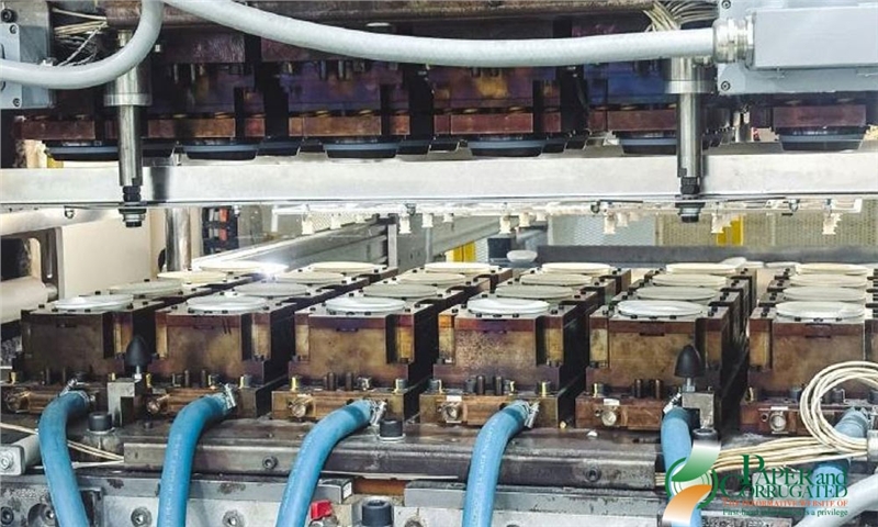 شرکت HZ Green Pulp وارد مرحله تولید در مقیاس کامل شد.